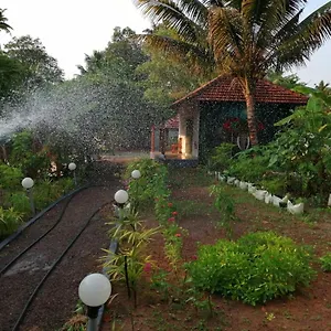 nettle-trees.hotels-alappuzha.com/